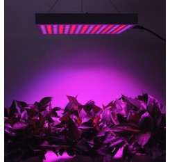 14W Red + Blue LED Plant Grow Light  ( EU Plug )